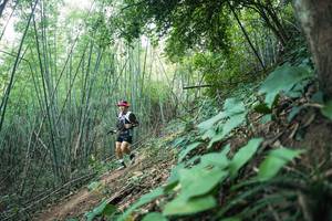 BIB: 
                            <button type="button" onclick="openModal(28159578)" class="btn btn-primary btn-sm float-right btn-popup" data-toggle="modal" data-target=".modal-high-quality">
                        <i class="fas fa-shopping-cart"></i> Add to Cart
                    </button>
                                            <button type="button" onclick="isThisMe(28159578, true)" class="btn btn-success btn-sm float-right btn-popup btn-isme hidden" data-toggle="tooltip" data-placement="bottom" title="นี่คือรูปของคุณใช่ไหม คลิกที่นี่เพื่อเอาเข้าอัลบั้ม">
                        <i class="fas fa-plus"></i> Add to album
                    </button>
                    <button type="button" onclick="isThisMe(28159578, false)" class="btn btn-warning btn-sm float-right btn-popup btn-isnotme hidden">
                        <i class="fas fa-ban"></i> Remove from album
                    </button>